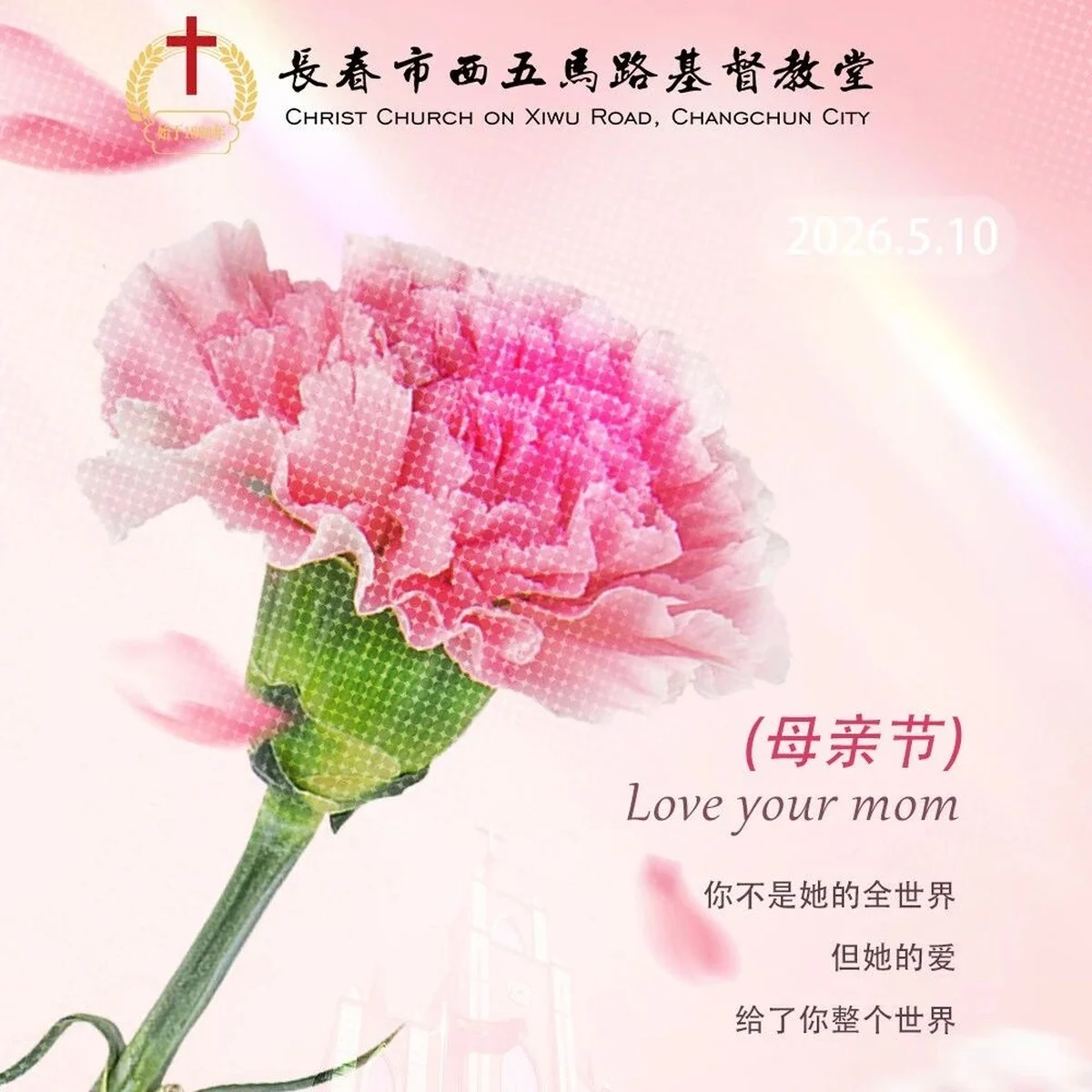 母亲节 | 以爱之名 致敬最温暖的她